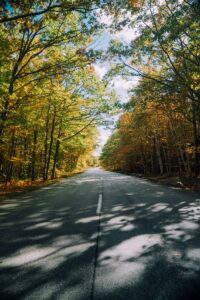Fall Foliage | Maine Trips