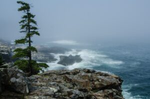 Acadia National Park | Maine Trips