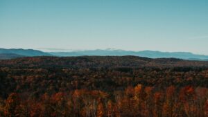 leaf peeping in maine