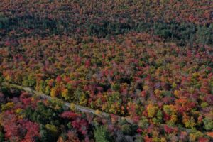 leaf peeping in maine highway